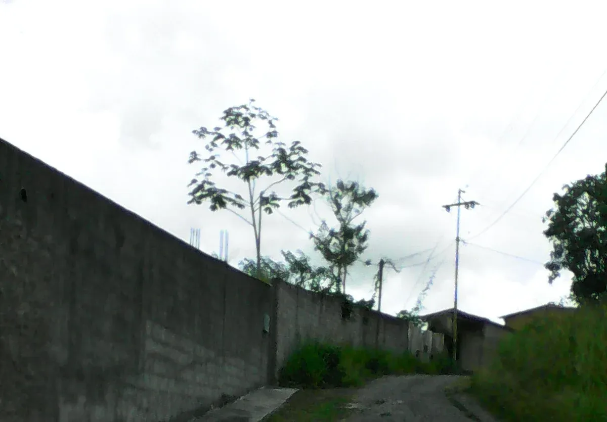 JI 27-3675. EN VENTA LOTE DE TERRENO DE 2.552 m2 UBICADO EN EL HATILLO. - 2