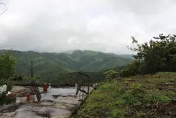 View 4