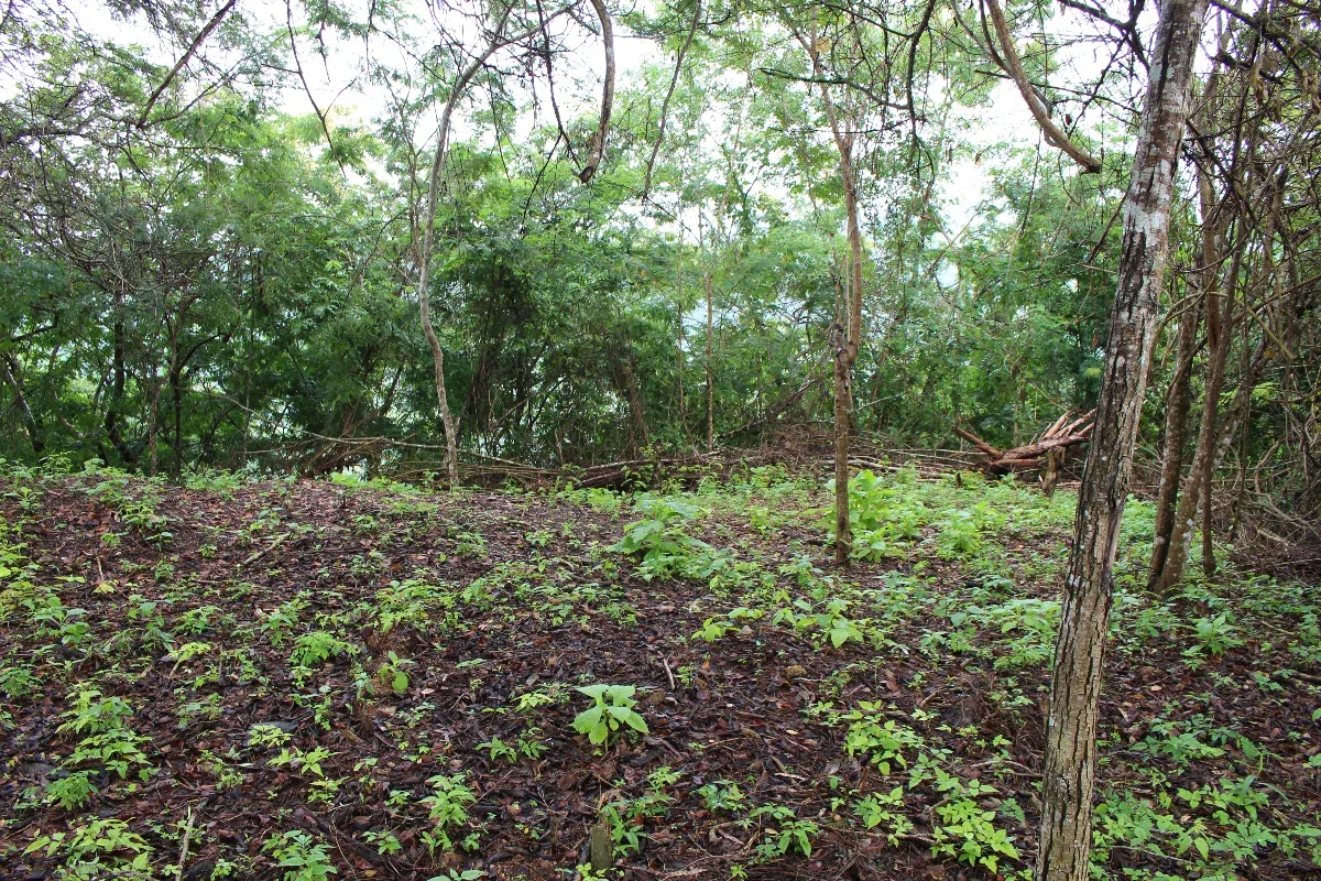 JI 27-3675. EN VENTA LOTE DE TERRENO DE 2.552 m2 UBICADO EN EL HATILLO. - 8