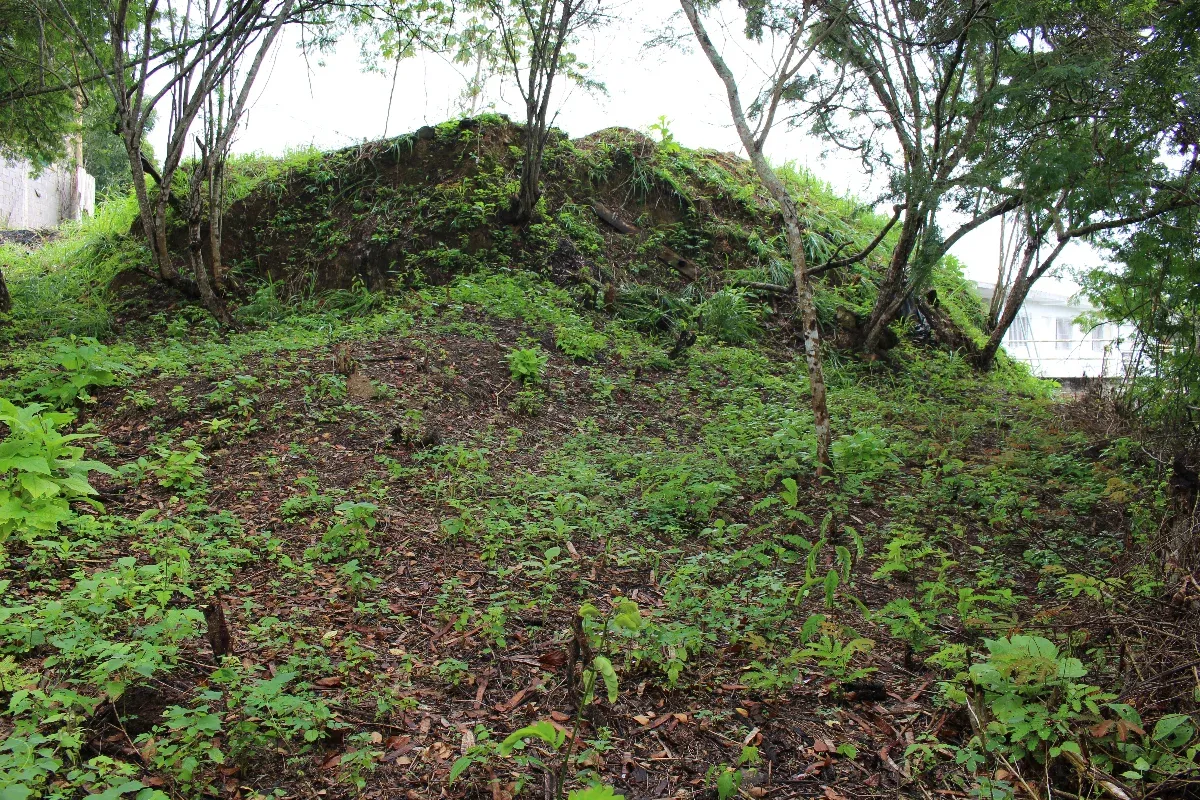 JI 27-3675. EN VENTA LOTE DE TERRENO DE 2.552 m2 UBICADO EN EL HATILLO. - 9