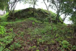 View 9