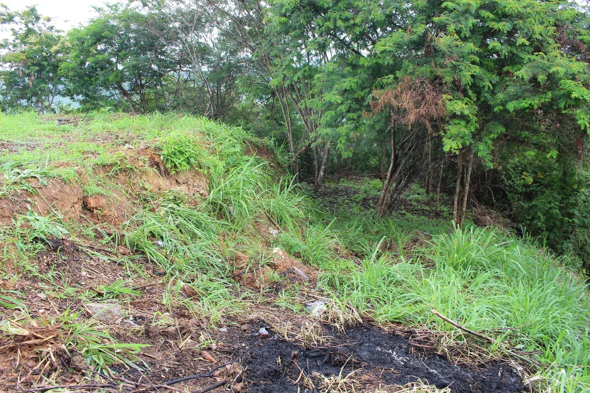 JI 27-3675. EN VENTA LOTE DE TERRENO DE 2.552 m2 UBICADO EN EL HATILLO. - 10