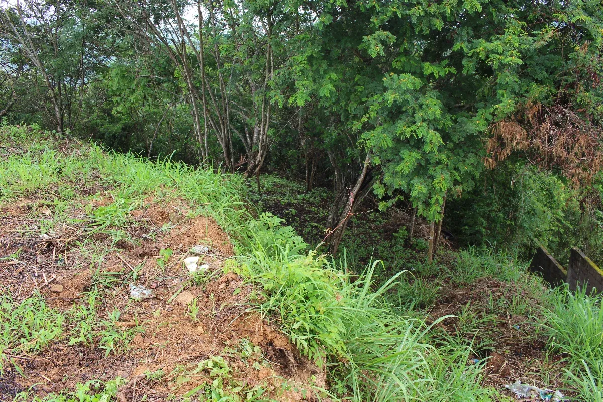 JI 27-3675. EN VENTA LOTE DE TERRENO DE 2.552 m2 UBICADO EN EL HATILLO. - 11