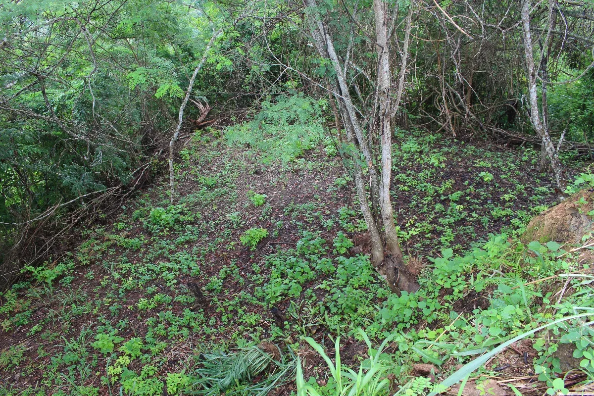 JI 27-3675. EN VENTA LOTE DE TERRENO DE 2.552 m2 UBICADO EN EL HATILLO. - 12