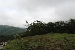 View 13