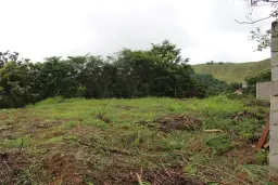 View 14