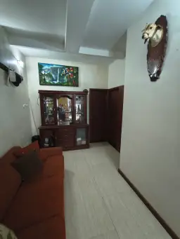 Vista 19