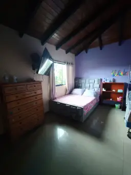 Vista 24