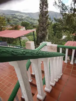 Vista 29