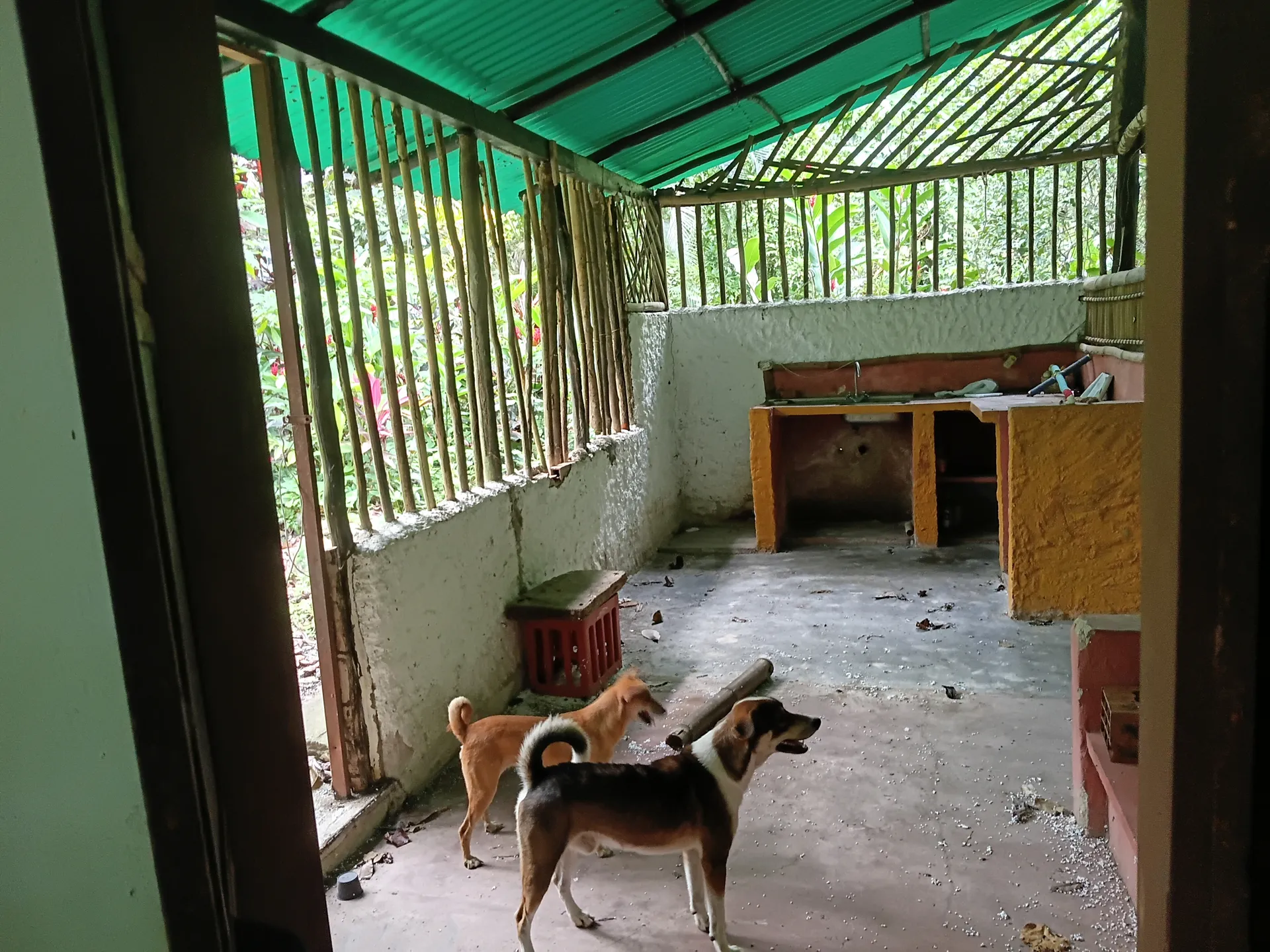 Hermosa casita de campo en venta  en el sector la planta choroni edo aragua - 4