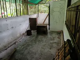 View 6