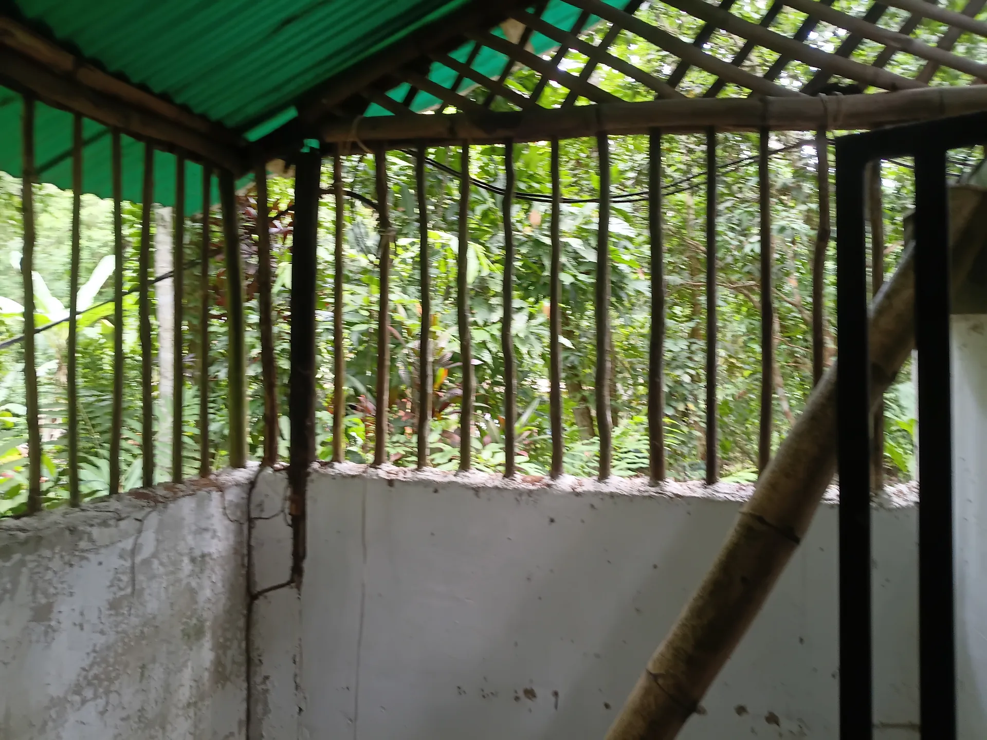 Hermosa casita de campo en venta  en el sector la planta choroni edo aragua - 9