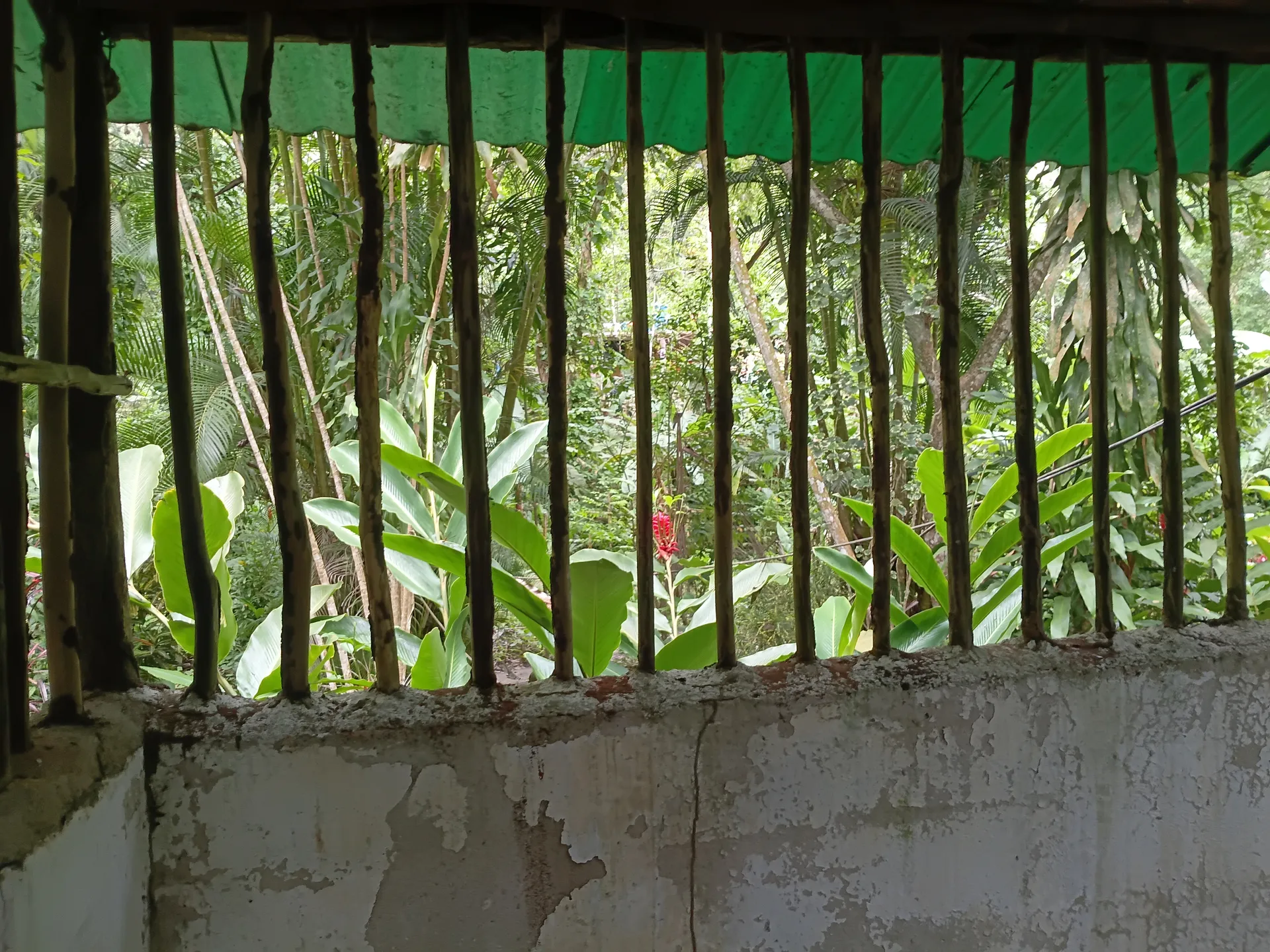 Hermosa casita de campo en venta  en el sector la planta choroni edo aragua - 10