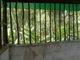 View 10