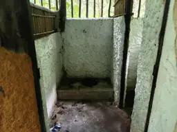 View 11