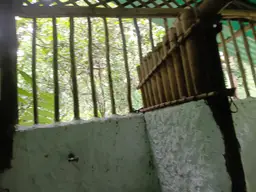 View 12