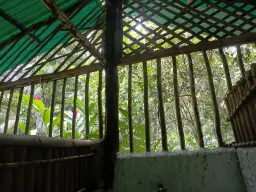 View 15