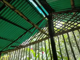 View 16