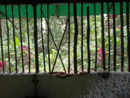 View 17