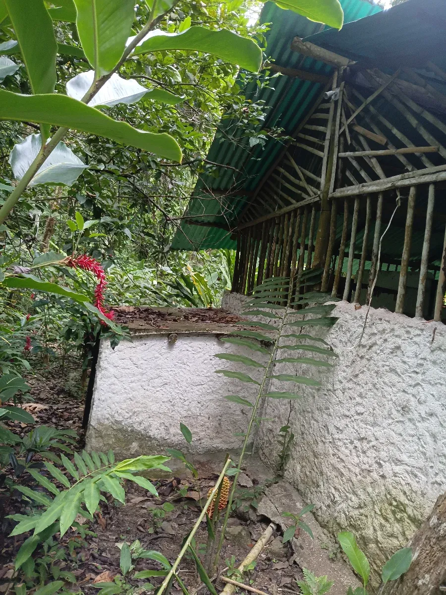 Hermosa casita de campo en venta  en el sector la planta choroni edo aragua - 18