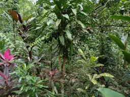 View 19