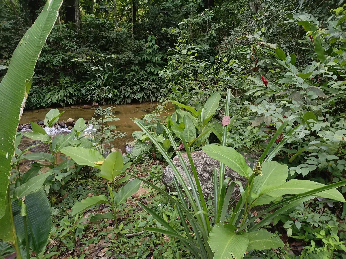 Hermosa casita de campo en venta  en el sector la planta choroni edo aragua - 21