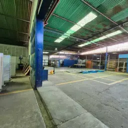 Vista 6