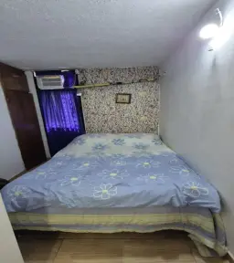 Vista 11