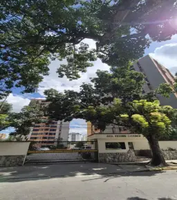 Vista 15