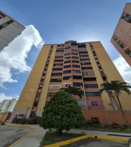 Vista 13