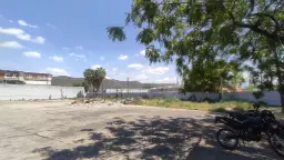 View 15