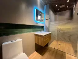Vista 10