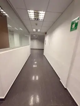 Vista 14