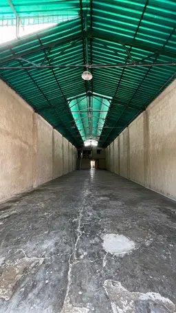 Vista 19