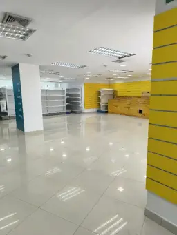 Vista 19