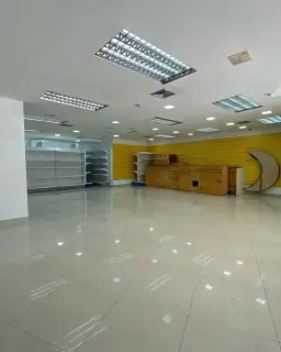 Vista 24