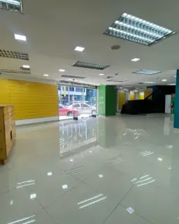 Vista 26
