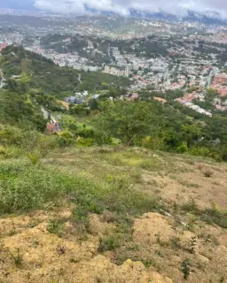 Vista 4