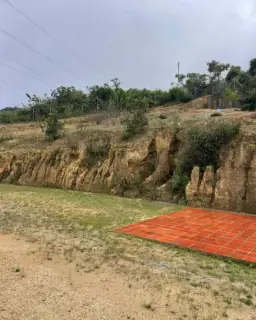 Vista 7