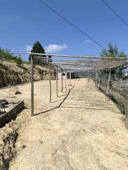 Vista 10