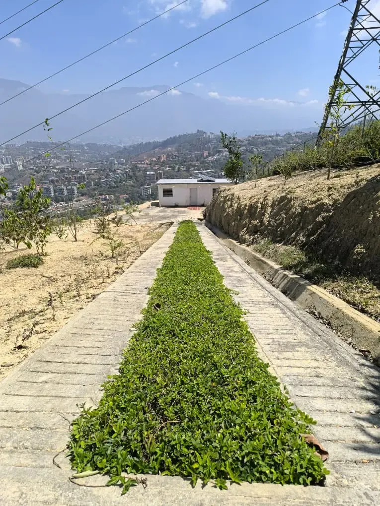 Terreno Exclusivo de 2.6 Hectáreas | La Trinidad, Municipio Baruta - 12