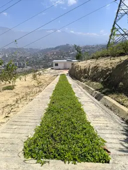 Vista 12