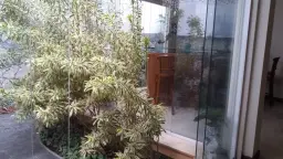 View 11