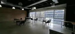 Vista 5