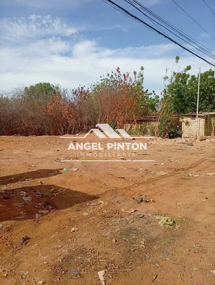 API 98096 TERRENO VENTA EL MANZANILLO SAN FRANCISCO VENEZUELA US$ 30000 Leyva Vásquez 0412 0716209