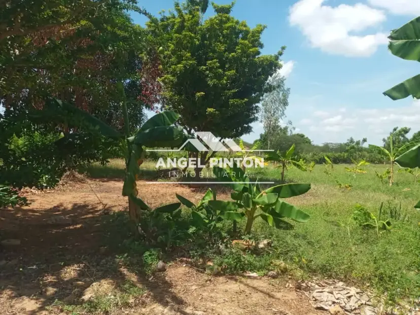 API 7475 G R @ N J @ VENTA EL PALOTAL MARACAIBO US$ 35000 Leyva Vásquez 0412 0716209
