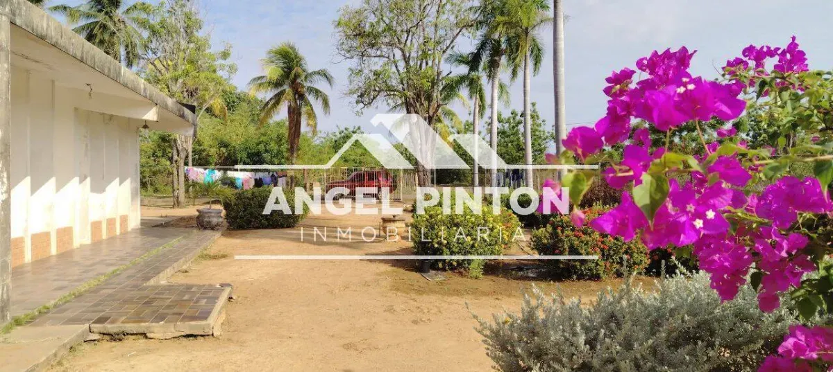 API 9493 CASA con TERRENO AMPLIO VENTA SECTOR COUNTRY CLUB MCBO US$47000 Leyva Vásquez 0412 0716209