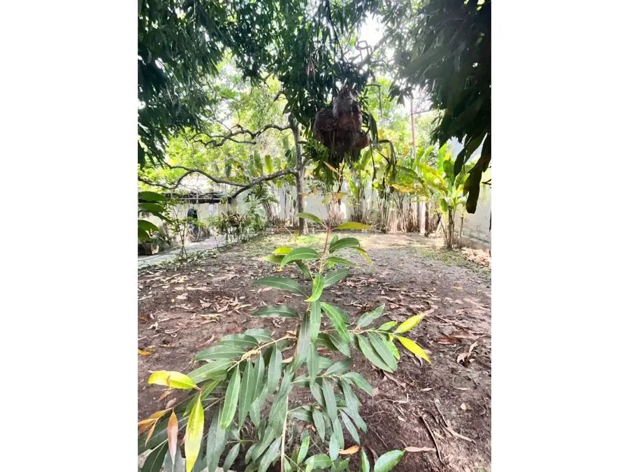 Vendo 2 terrenos 1.154m2 La Florida 0092 - 6
