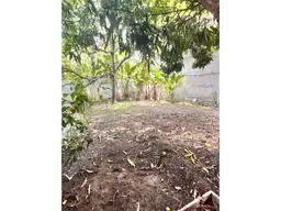 Vista 5