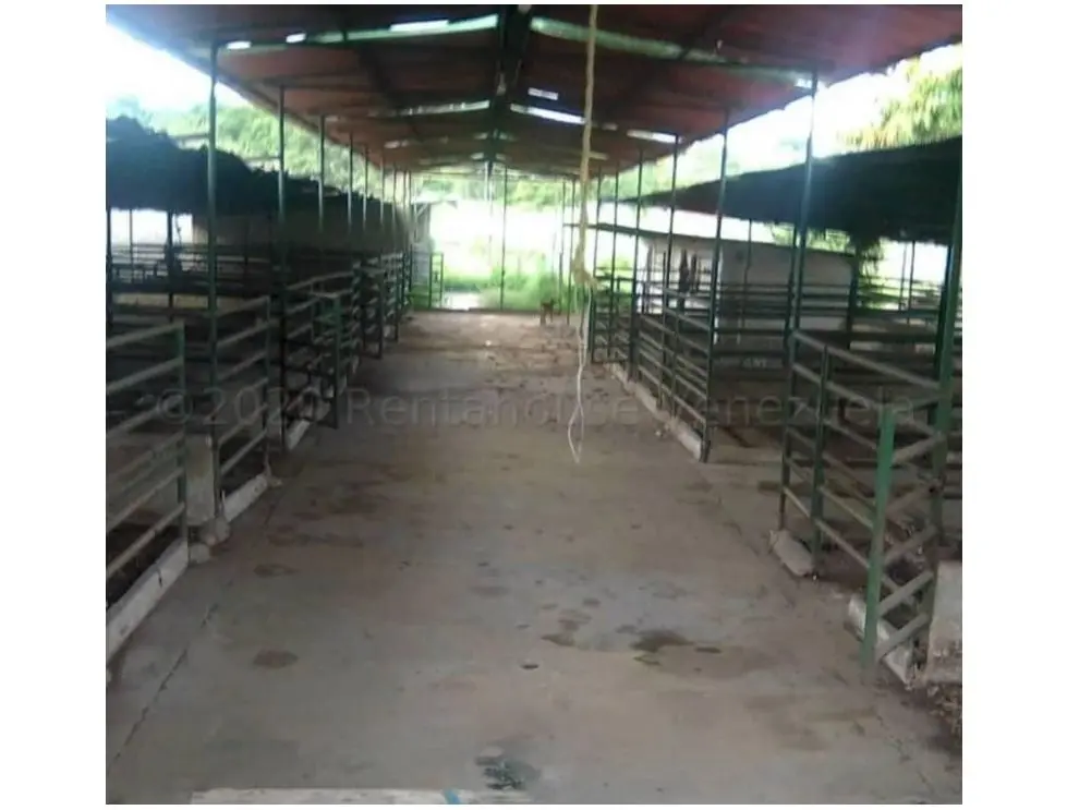 Se vende caballeriza 20.000m2 Santa Lucia-Edo. Miranda 4323 - 10